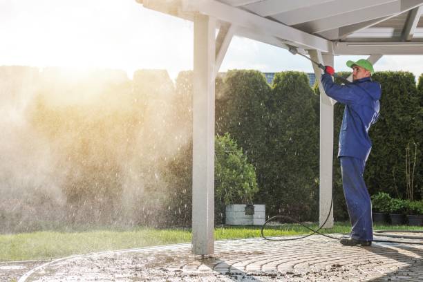 Best Sidewalk and Walkway Pressure Cleaning in Larimore, ND